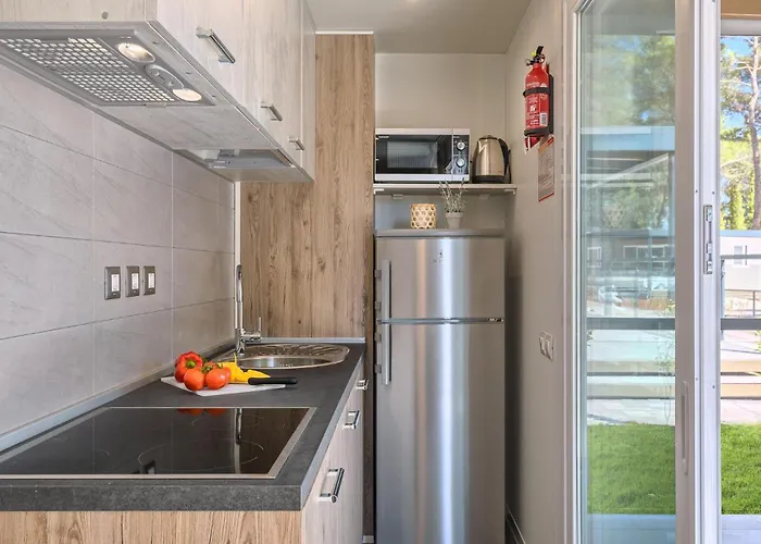 3 Bedroom Beautiful Stacaravan In Vabriga 5* Poreč